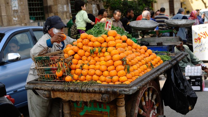 An orange vendor in Cairo. The country will export 2 million tonnes of oranges this year