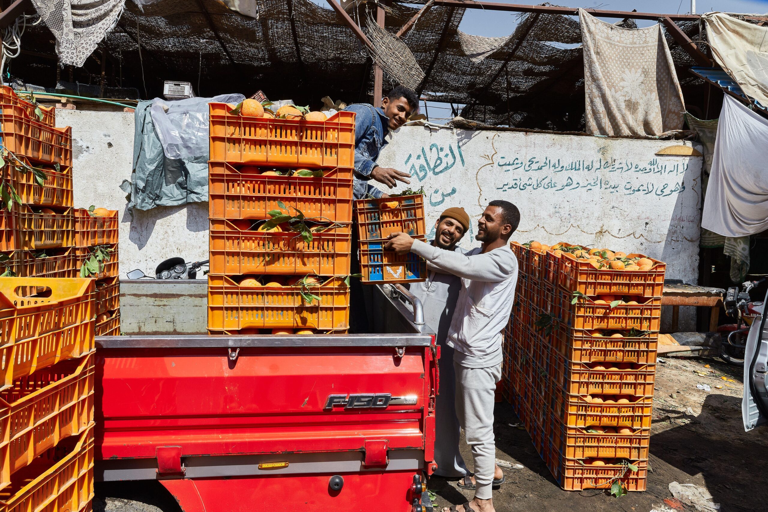 Citrus fruits were Egypt's largest agricultural export, and its orange exports are predicted to reach 2 million tonnes