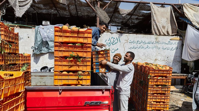 Citrus fruits were Egypt's largest agricultural export, and its orange exports are predicted to reach 2 million tonnes