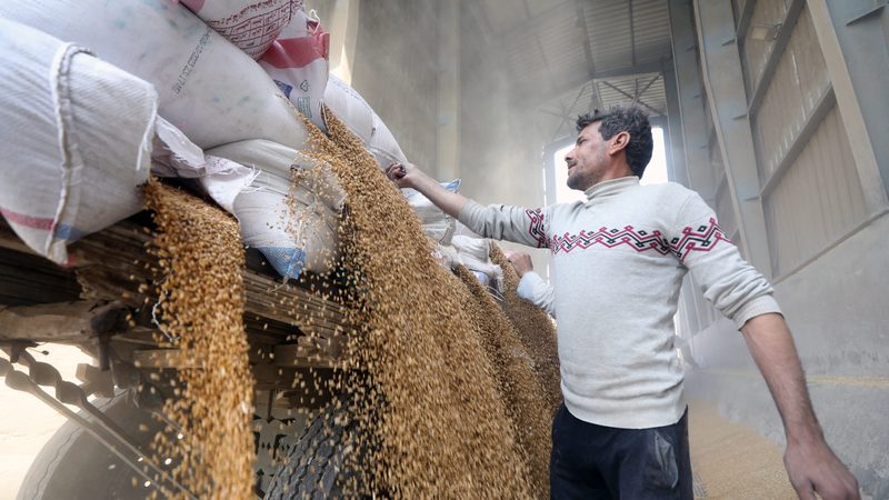 A worker unloads wheat in Qalyubia, north of Cairo. Analysts warn that a rise in bread prices could harm imnproving business sentiment