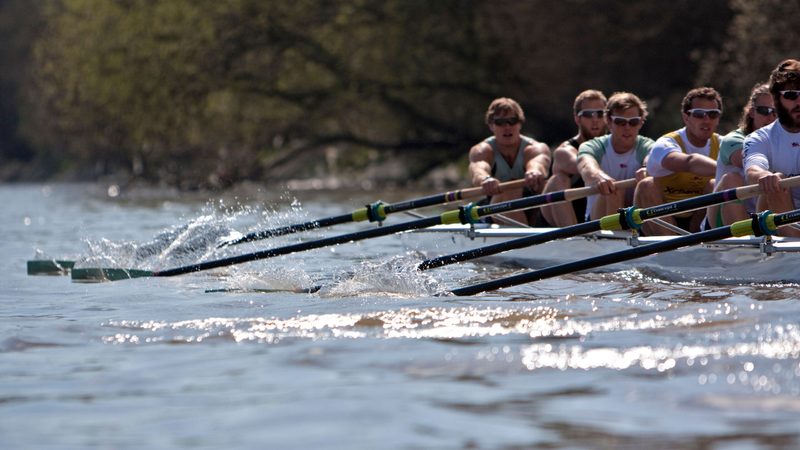Participants in the annual Oxford-Cambridge Boat Race have been warned of hazardous levels of pollution in the Thames