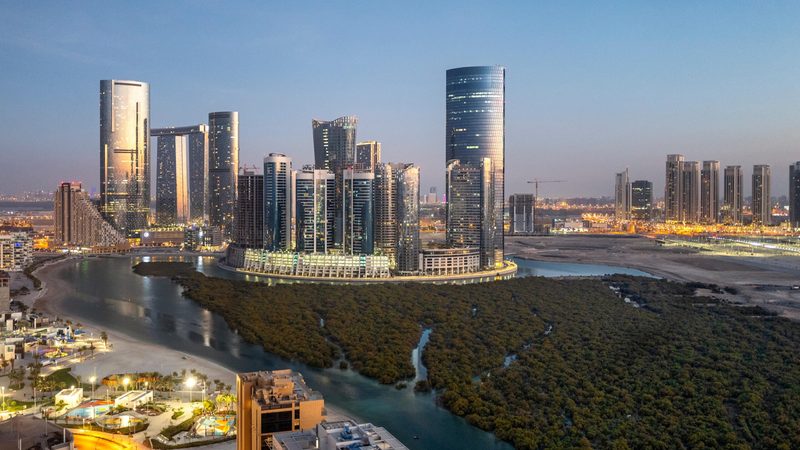 Some of Abu Dhabi's mangroves, which absorb carbon dioxide from the atmosphere. The UAE is the third-highest emitter in the Middle East, according to the IEA