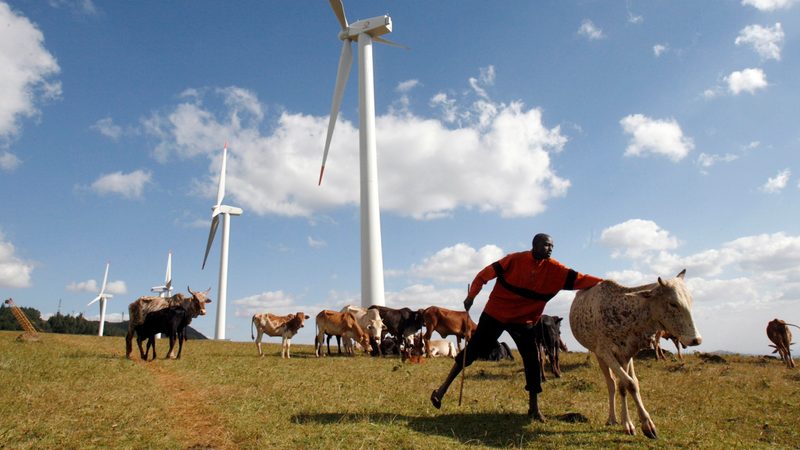 A Masaai herdsman looks after his cattle near the power-generating wind turbines at the Kenya Electricity Generating Company (KenGen) station in Ngong hills, 22 km (13.7 miles) southwest of Kenya's capital Nairobi, July 17, 2009. Kenya plans to add 2,000 megawatts of more environmentally-friendly energy by 2013 by investing $7-$8 billion, a KenGen official said on Friday. KenGen is setting up some wind turbines and a private company is planning a 300 MW wind farm in Kenya's northeastern region by 2012. To match INTERVIEW KENYA-ENERGY/ REUTERS/Thomas Mukoya (KENYA ENVIRONMENT ENERGY BUSINESS)