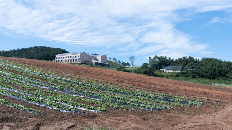 UAE food exports farmland