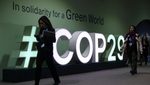 Experts says attendees at the Cop29 conference must agree binding rules on carbon credits to improve reliability and trust