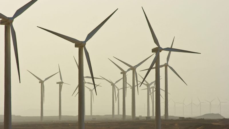 A wind farm in the Sinai Peninsula, Egypt. Some identified localisation sectors include renewable energy components for batteries and wind power