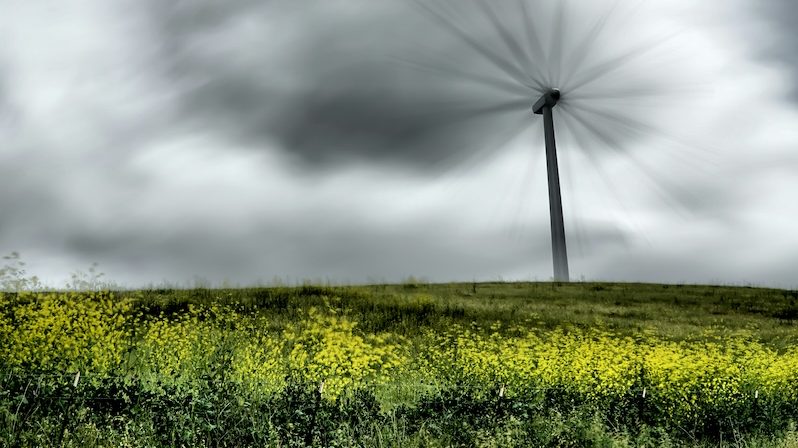 Field, Grassland, Nature