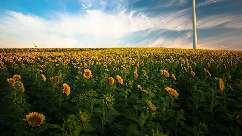 Horizon, Nature, Outdoors