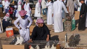 A poultry market in Najran, Saudi Arabia. “Poultry, being the cheapest source of protein, always gets the highest attention,” says Entaj CEO Raja Alharbi