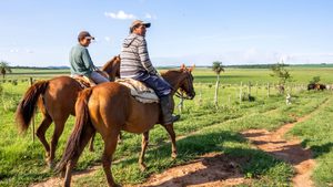 Gauchos on a cattle farm in Paraguay. Banco Continental lends to SMEs in the country's agricultural sector