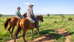 Gauchos on a cattle farm in Paraguay. Banco Continental lends to SMEs in the country's agricultural sector