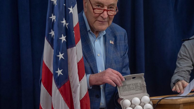 US senator Chuck Schumer pictured in New York last month speaking to the media about egg prices. Turkey exported 200,000 tonnes of eggs to 55 countries in 2024