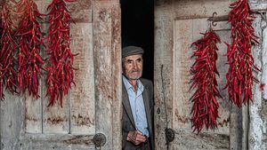 The average age of Turkish farmers is increasing but some observers say money, not tech, is the solution to their problems