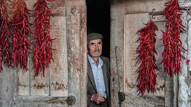 The average age of Turkish farmers is increasing but some observers say money, not tech, is the solution to their problems