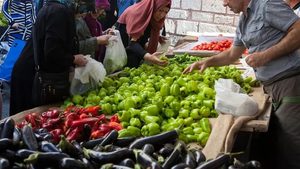 Egypt's core inflation plunged more than expected to 10 percent in February, from 22.6 percent in January