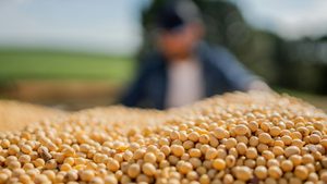 A soybean farm in Brazil. Brazil's Agribrasil traded in 1.858 million tonnes of soybeans and corn in the first nine months of 2024