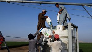 Workers carry fertiliser bags to be mixed with water at a farm in Sharjah: the World Bank’s fertiliser price index has rebounded to 124 from a three-year low last May of 108