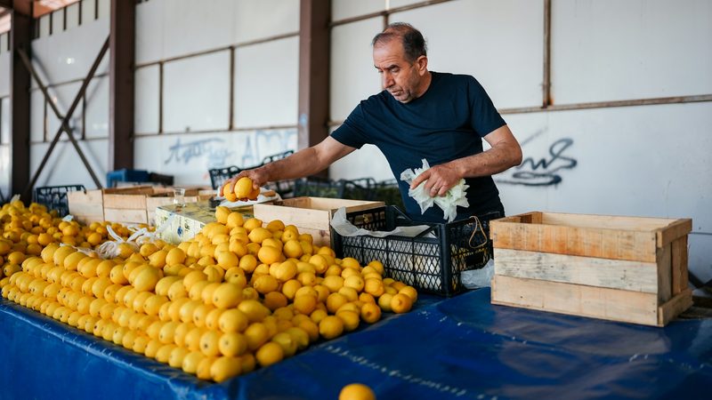 Farmers in Turkey have reduced their expected citrus output following a bitter cold snap